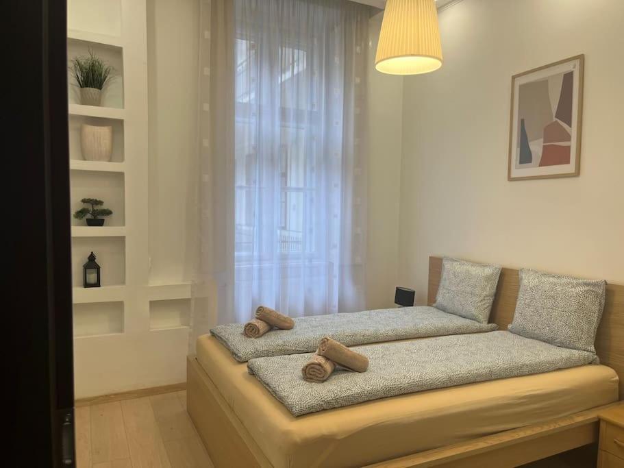 Szechenyi Renovated 2Br At Danube River Budapest Luaran gambar